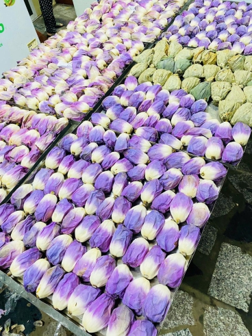 Sấy thăng hoa Thiên Trường Phát